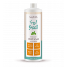 Oxyfresh Fresh Mint Mouthwash